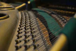 Franz Oeser, THE OESER virtual piano instrument - tuning pins